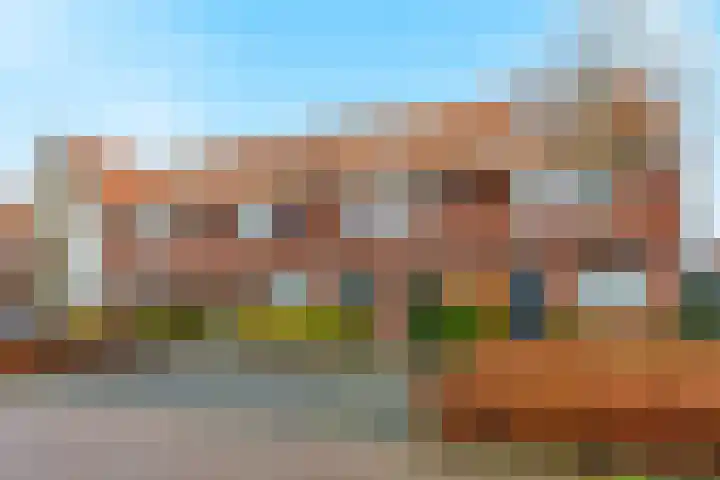 Stier 12 Elst foto 2