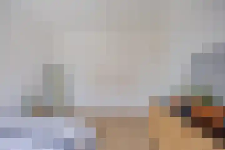 Stier 12 Elst thumbnail 20