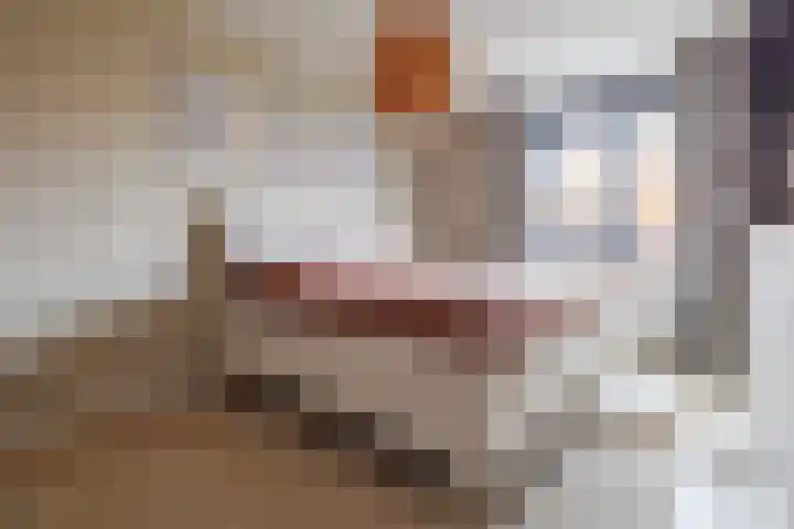Stier 12 Elst thumbnail 20
