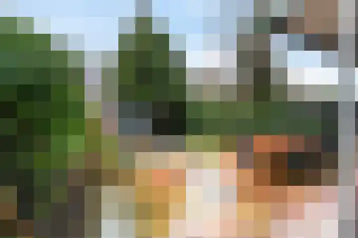 Stier 12 Elst thumbnail 26