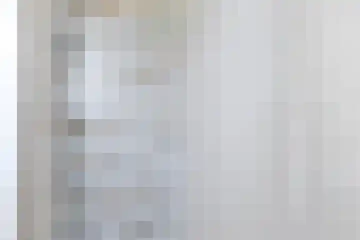 Stier 12 Elst thumbnail 27