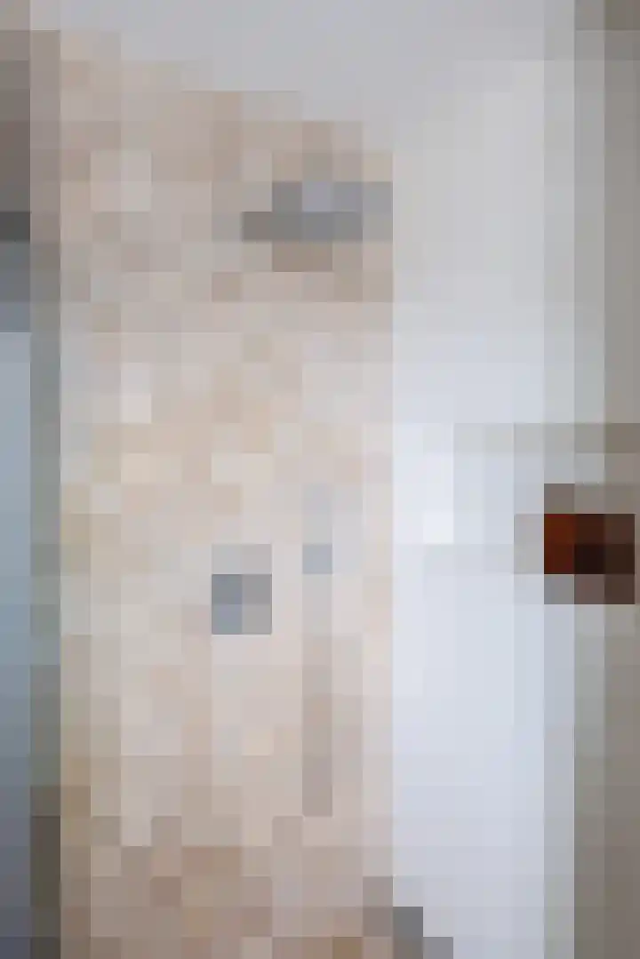 Stier 12 Elst thumbnail 29