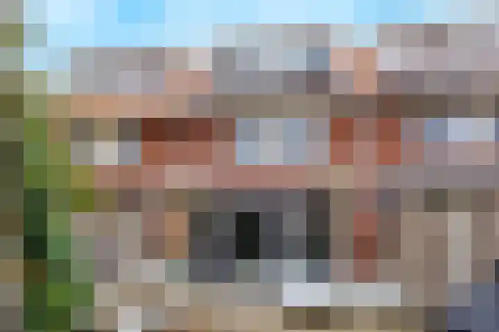 Stier 12 Elst foto 3