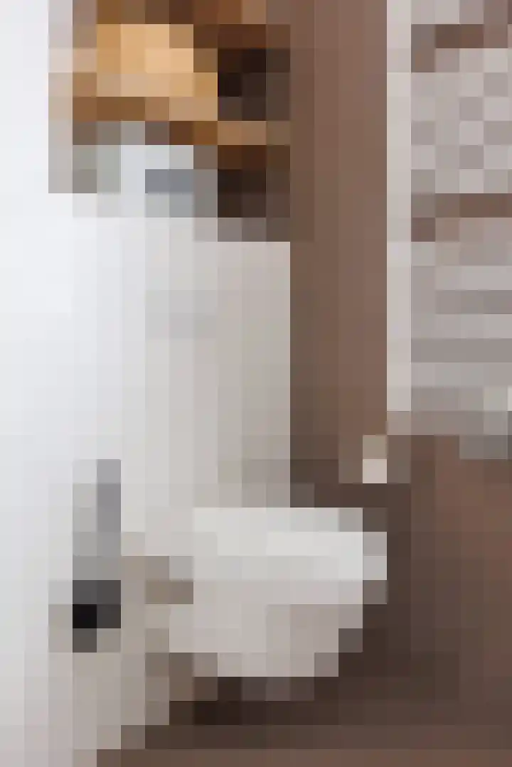 Stier 12 Elst thumbnail 30