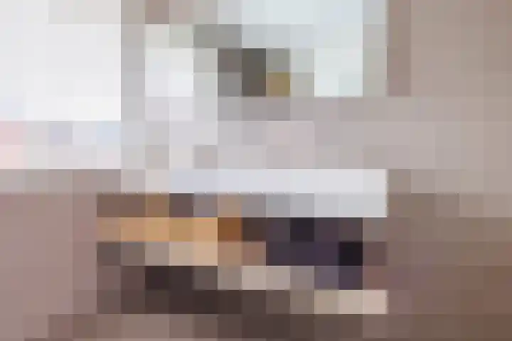 Stier 12 Elst thumbnail 31