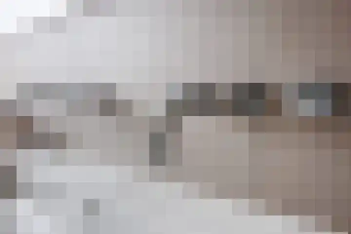 Stier 12 Elst thumbnail 32