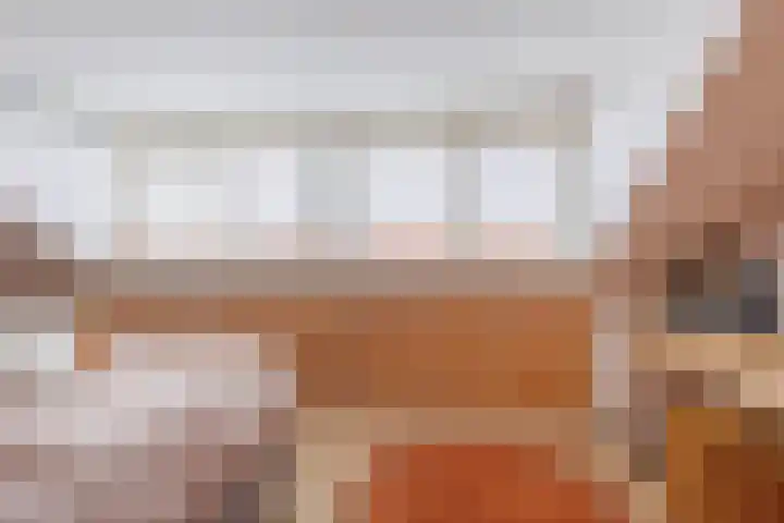 Stier 12 Elst thumbnail 33