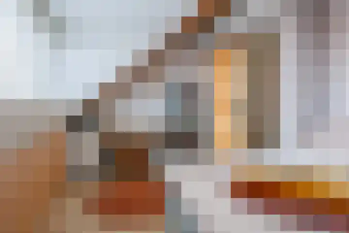 Stier 12 Elst thumbnail 35