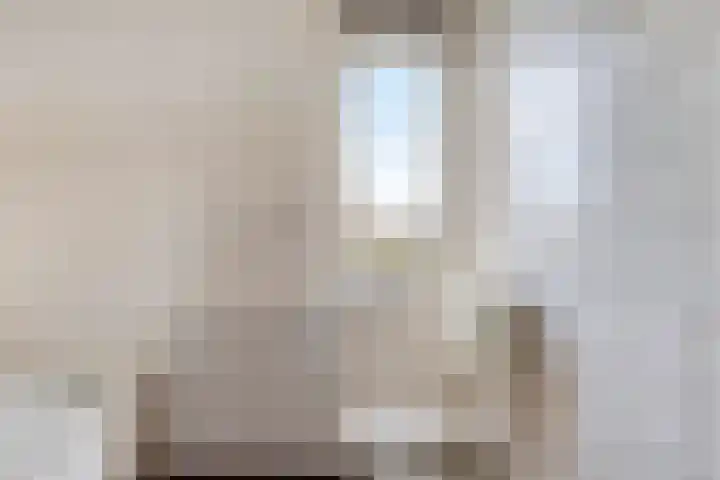 Stier 12 Elst thumbnail 36