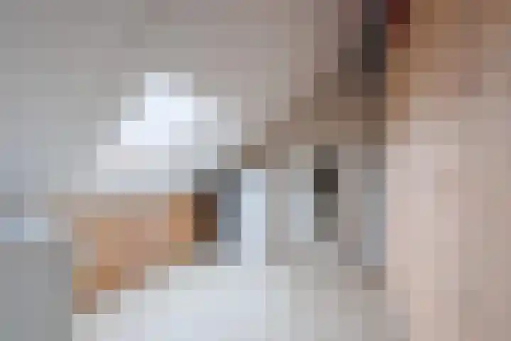 Stier 12 Elst thumbnail 36