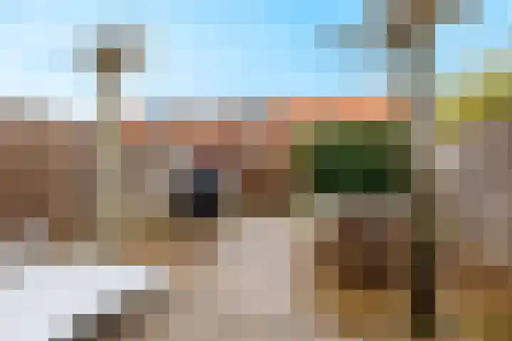 Stier 12 Elst thumbnail 38