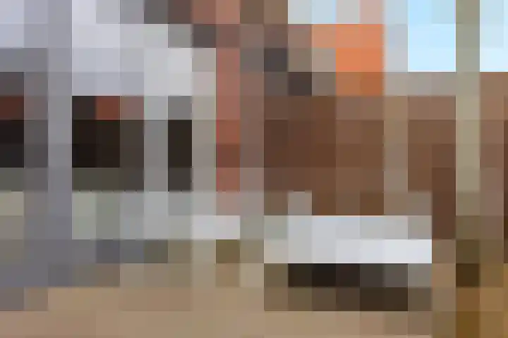 Stier 12 Elst thumbnail 39