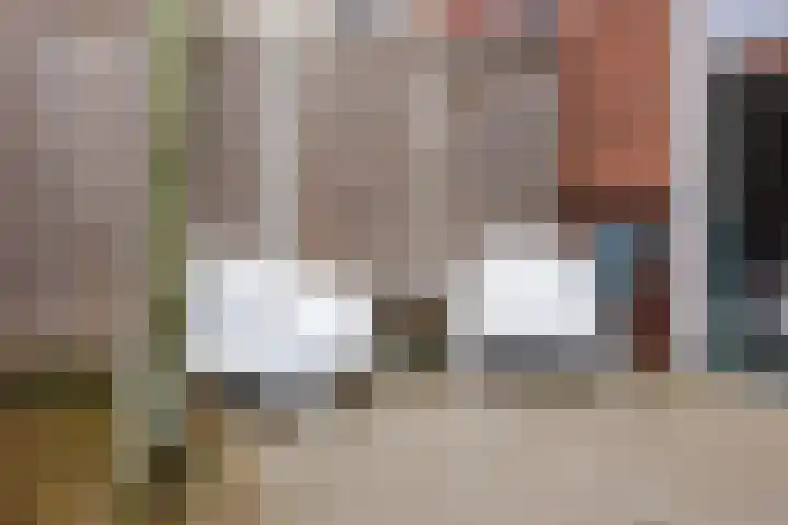 Stier 12 Elst thumbnail 40