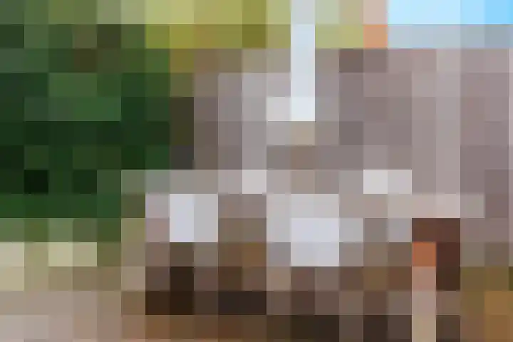 Stier 12 Elst thumbnail 41