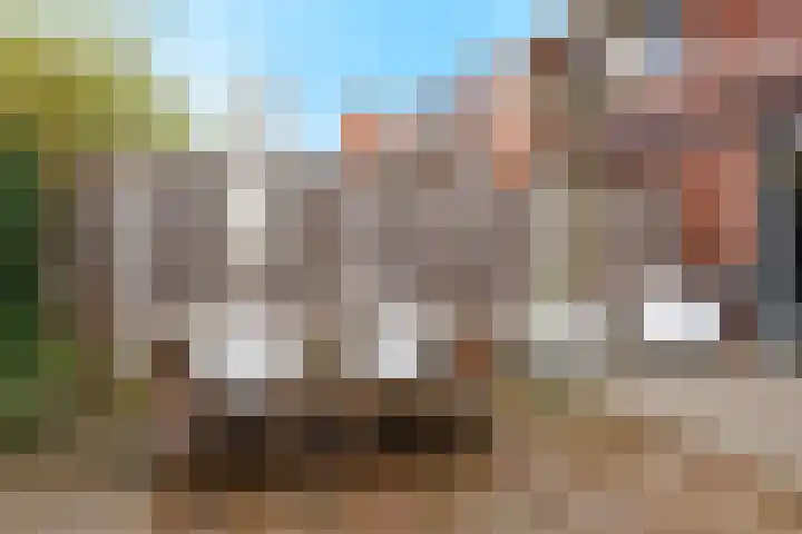 Stier 12 Elst thumbnail 42