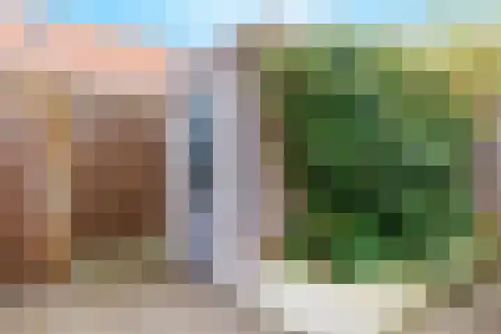 Stier 12 Elst thumbnail 43
