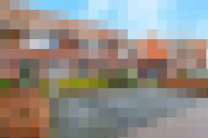 Stier 12 Elst thumbnail 44