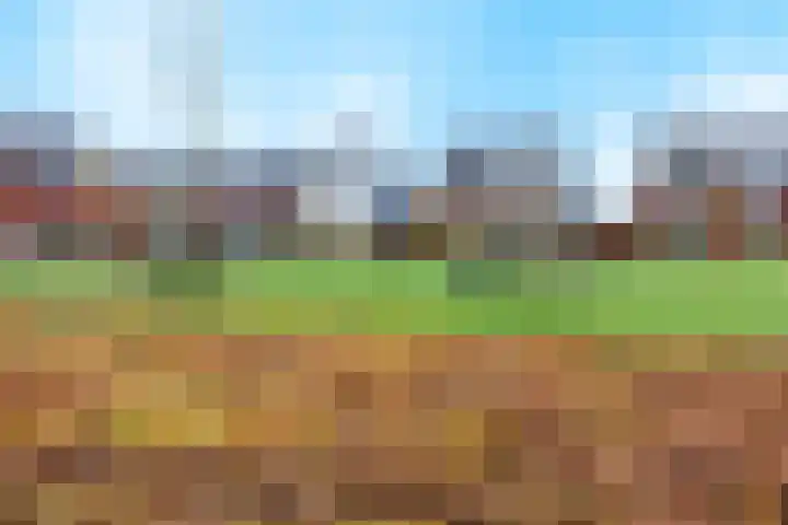 Stier 12 Elst thumbnail 46