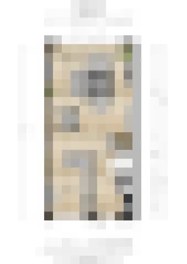 Stier 12 Elst thumbnail 47