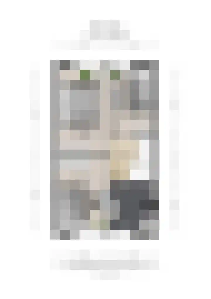 Stier 12 Elst thumbnail 48