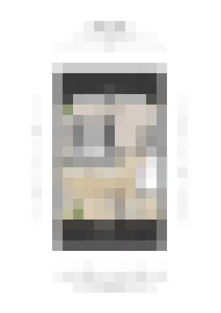 Stier 12 Elst thumbnail 49
