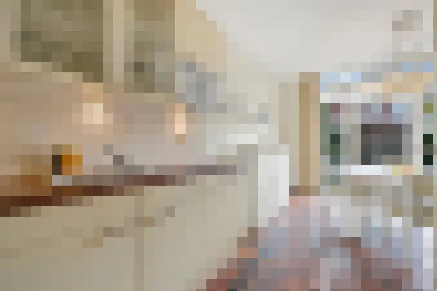 Stier 12 Elst thumbnail 50