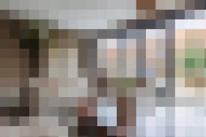 Stier 12 Elst thumbnail 7