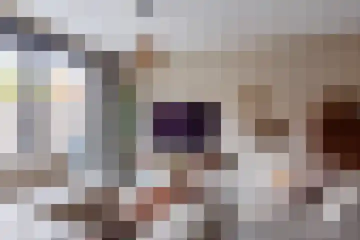 Stier 12 Elst thumbnail 8