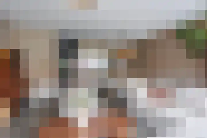 Stier 12 Elst thumbnail 9