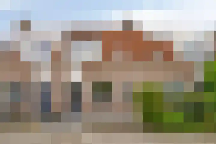 Stijgbeugel 100 in Zwaag
