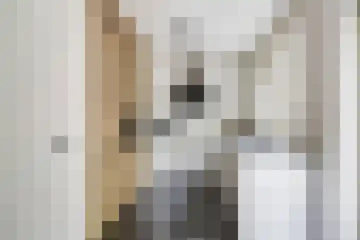 Stikkerstraat 19 Goes thumbnail 10