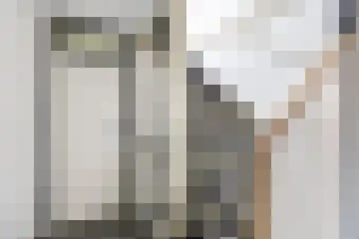 Stikkerstraat 19 Goes thumbnail 12