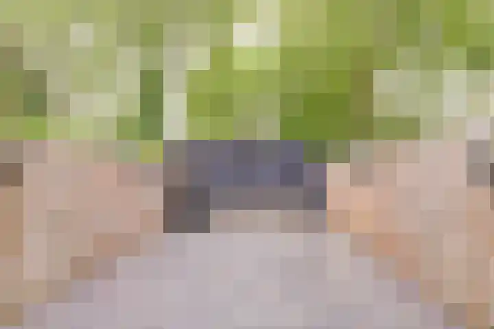 Stikkerstraat 19 Goes thumbnail 22