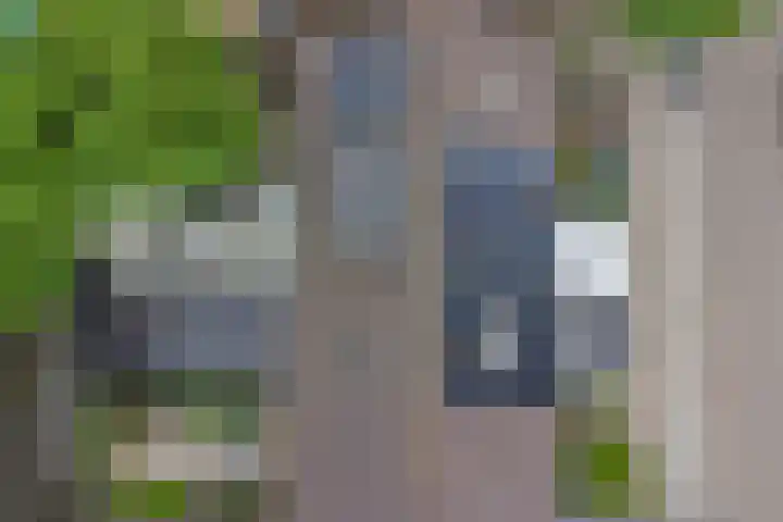 Stikkerstraat 19 Goes thumbnail 27