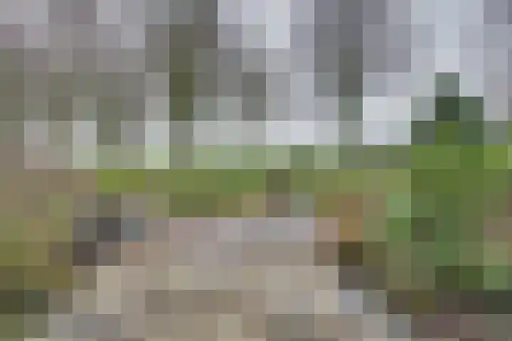 Team foto van StinseMaat makelaardij