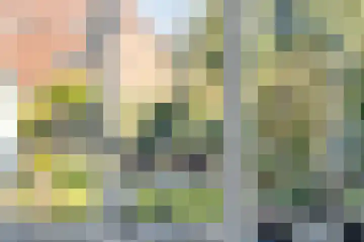 Stinslaan 22 Leek thumbnail 12