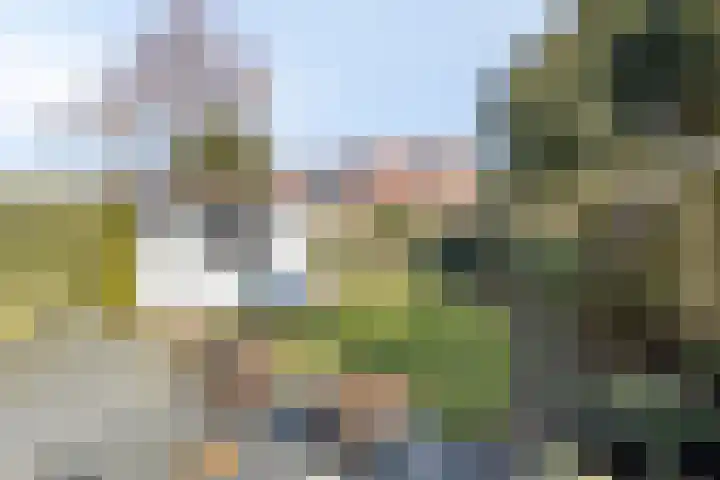 Stinslaan 22 Leek thumbnail 30