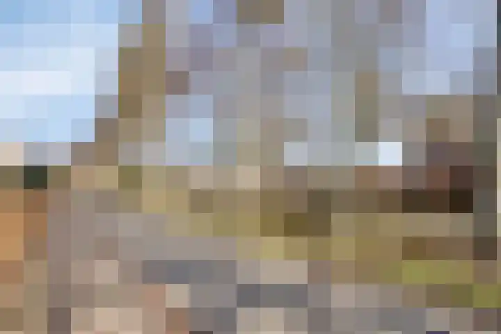Stinslaan 22 Leek thumbnail 36