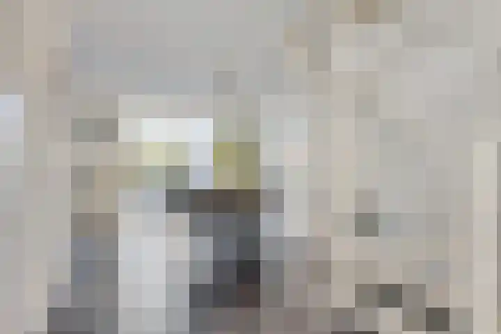 Stinslaan 22 Leek thumbnail 5