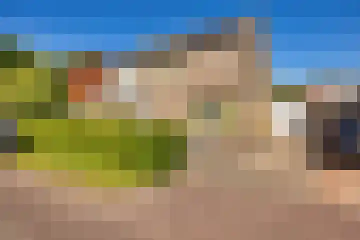 Stinslaan 8 Leek
