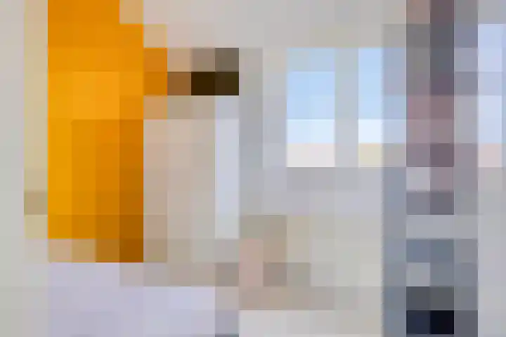 Stinze 2 Veldhoven thumbnail 15