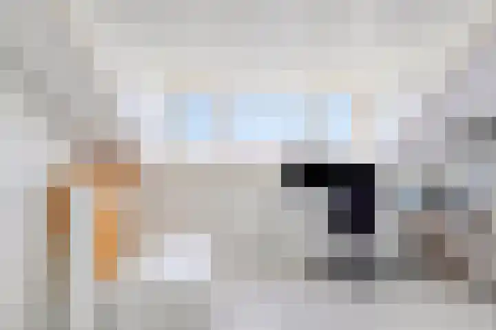 Stinze 2 Veldhoven thumbnail 23