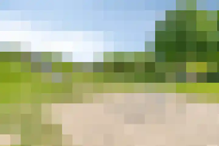 Stinze 2 Veldhoven thumbnail 31