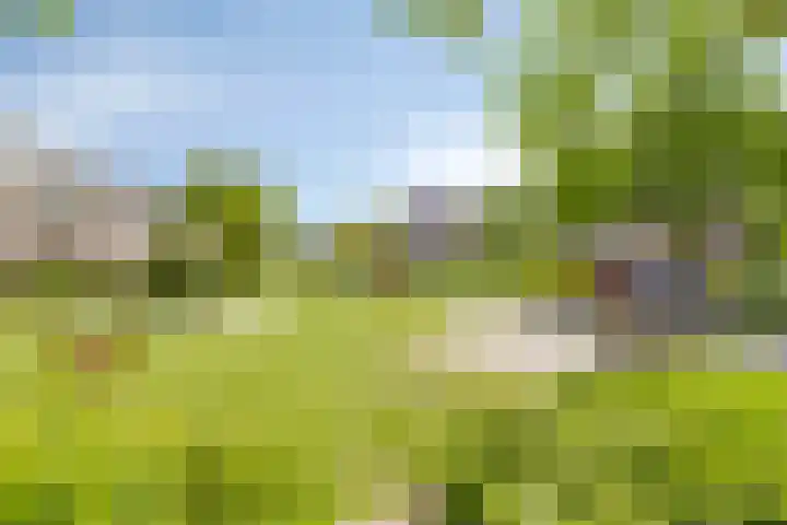 Stinze 2 Veldhoven thumbnail 32