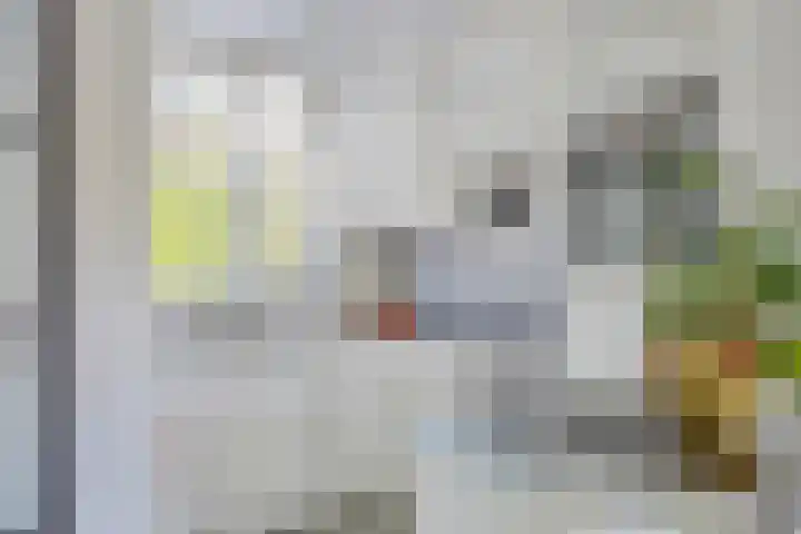 Stinze 2 Veldhoven thumbnail 9