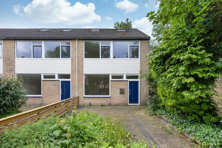 Stinzenflora 102 in Leeuwarden foto