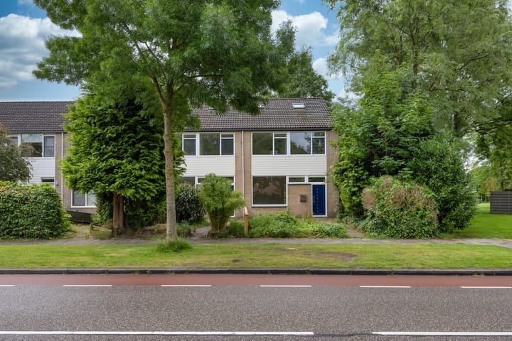 Stinzenflora 104 in Leeuwarden foto