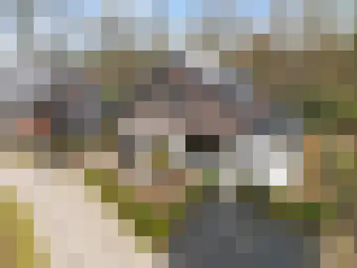 Stobbenveld 30 Ermelo thumbnail 4
