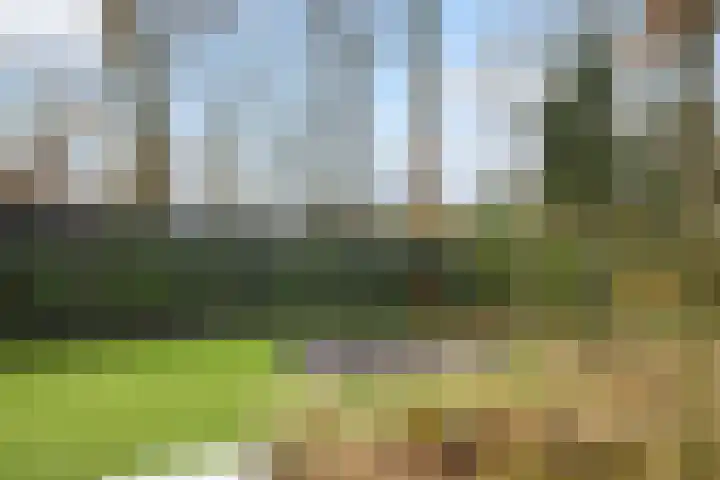Stobbenveld 30 Ermelo thumbnail 56