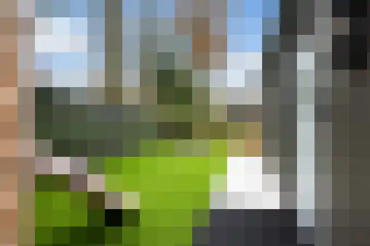 Stobbenveld 30 Ermelo thumbnail 58
